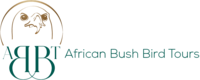 African Bushbird cc